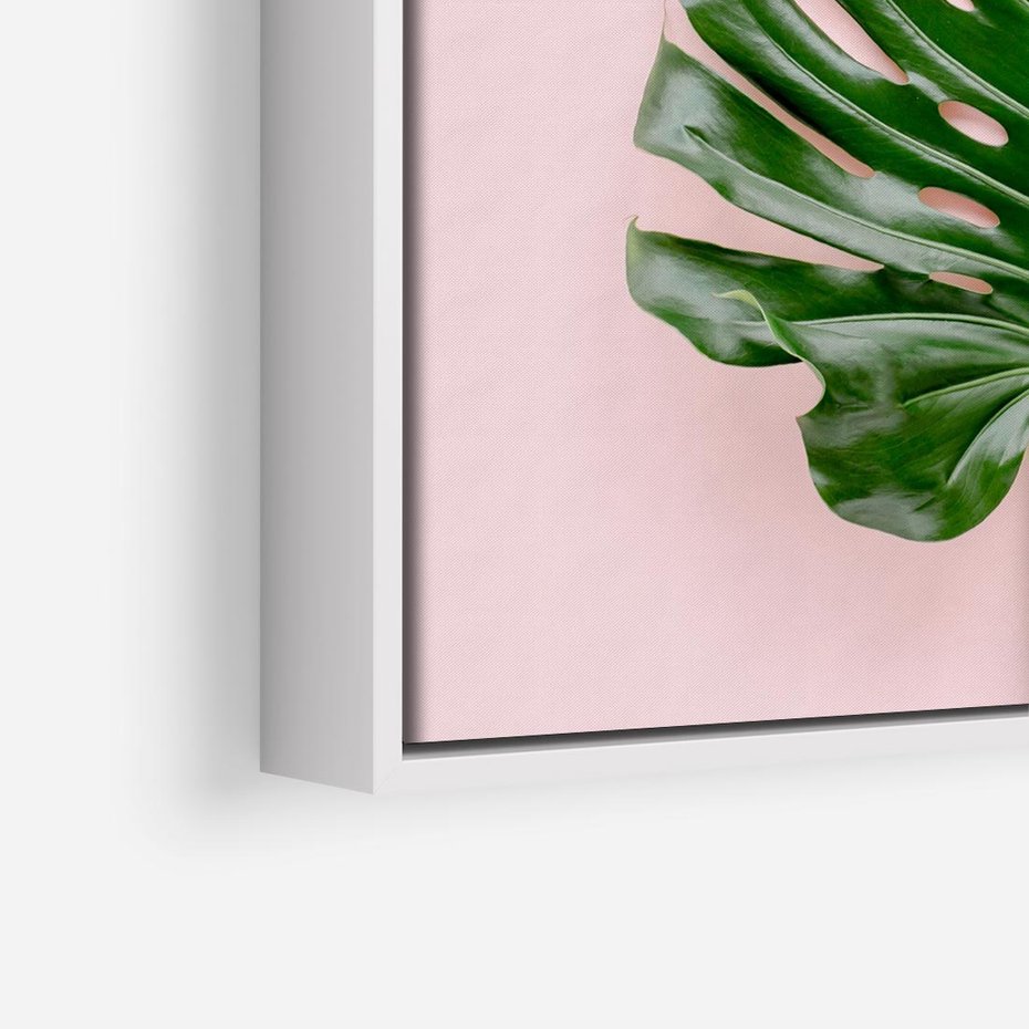 Obraz w ramie 50x50 - Egzotyczna Roślinność - liście, monstera - rama biała