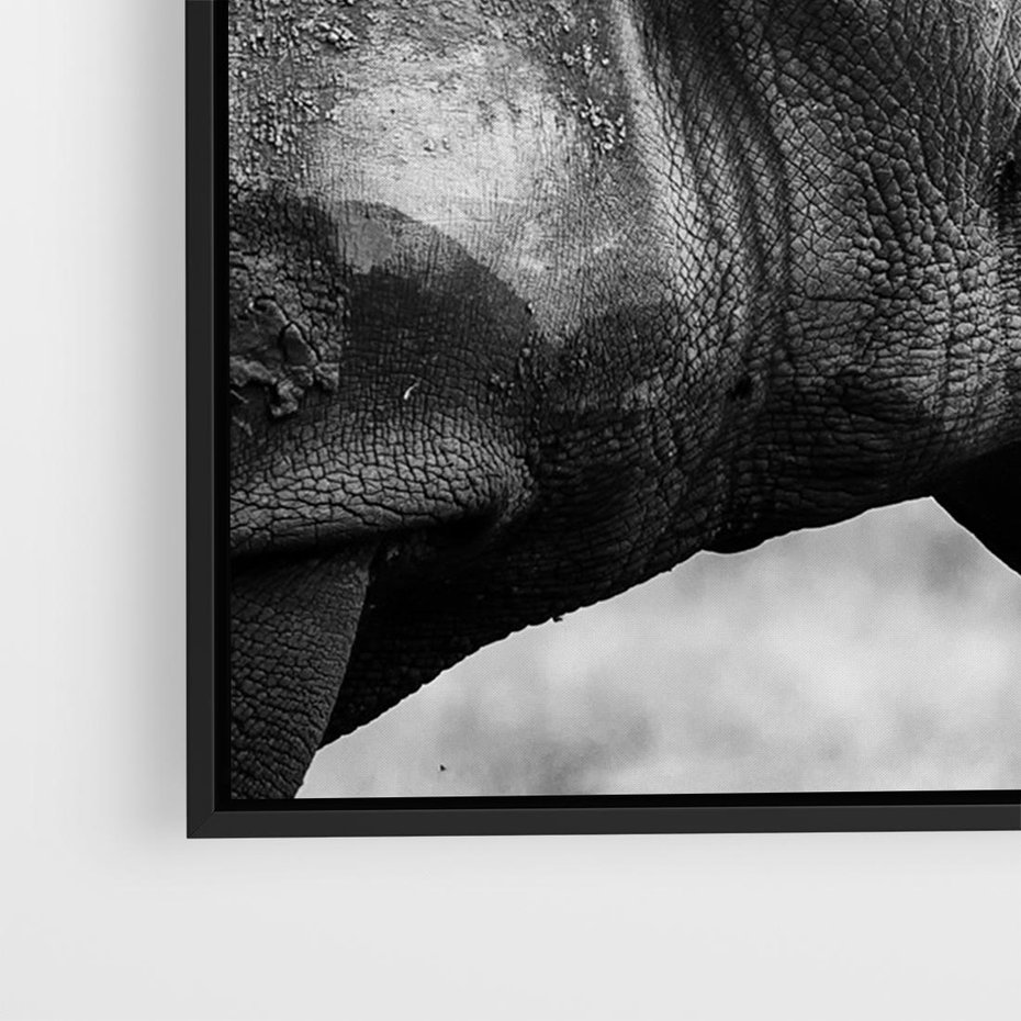 Obraz w ramie 70x50 - Potęga Afryki - czarno biała fotografia, zbliżenie na postać nosorożca - rama czarna