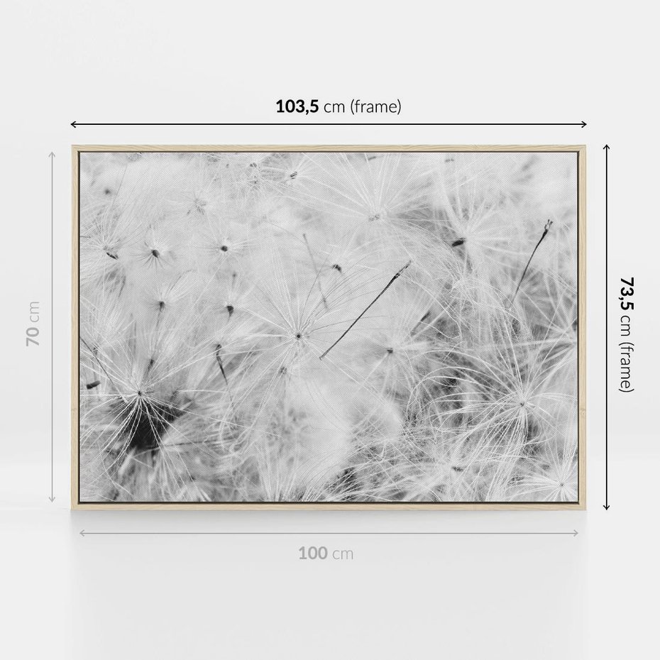 Obraz w ramie 100x70 - Zdmuchnięty Puch - dmuchawce, delikatne - rama drewno