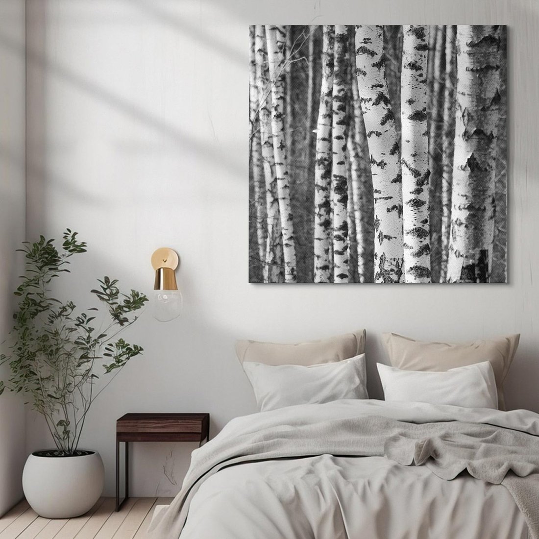 Obraz na płótnie 50x50 - Kontrast Monochromatyczny - brzozy, czarno