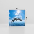 Obraz na płótnie 30x30 - Spotkanie z naturą - morze, delfiny