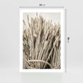 Plakat bez ramy 21x30 - Letni Plon - zboże, kłosy zboża