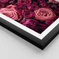 Plakat w ramie 40x50 - Róże - piękno kwiatów - róże, kwiaty - rama czarna