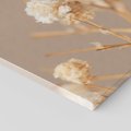 Obraz na płótnie 50x70 - Przezroczyste piękno - gipsówka, suche