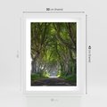 Plakat w ramie 30x40 - Magiczny Las - drzewa, las - rama biała