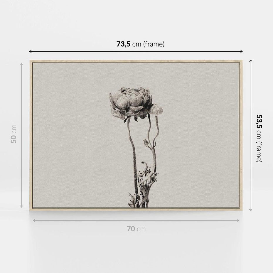 Obraz w ramie 70x50 - Cień Kwiatowej Delikatności - kwiat, cień - rama drewno