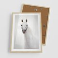 Plakat w ramie 50x70 - Elegancja białego konia - biały, koń - rama drewno