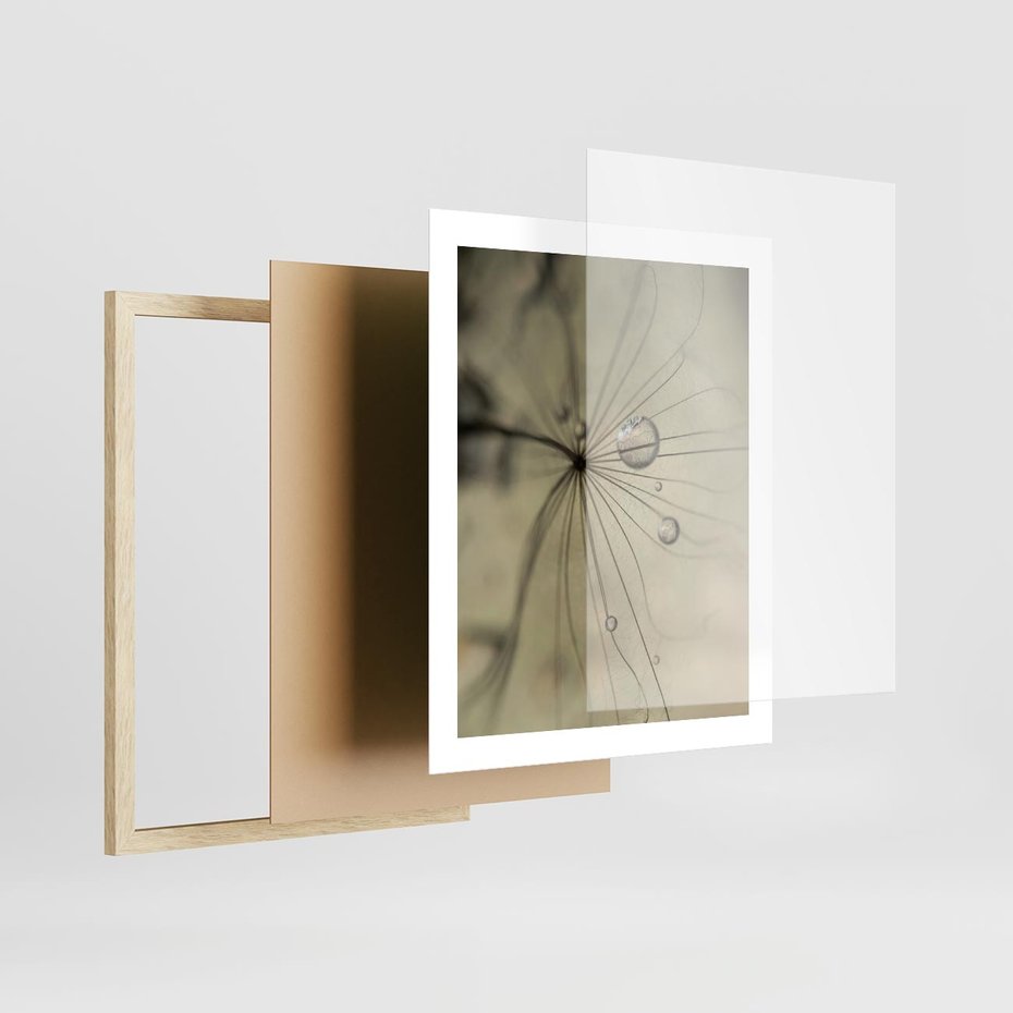 Plakat w ramie 40x50 - Delikatność dmuchawców - dmuchawce, krople - rama drewno