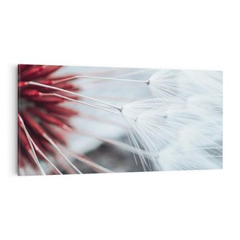 Obraz na płótnie 120x60 - Makro świat dmuchawca - dmuchawiec, makro