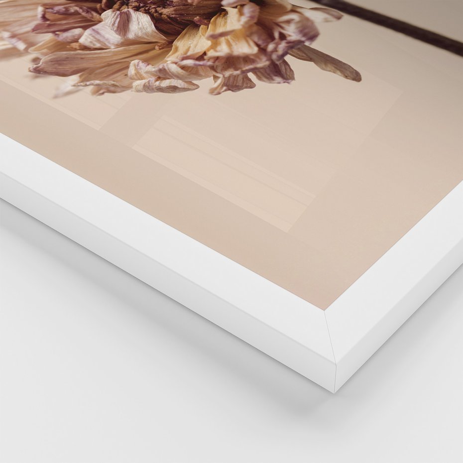 Zestaw obrazy w ramie 50x70 galeria - Minimalistyczne, suszone, kwiaty, boho - rama biała