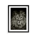 Plakat w ramie 30x40 - Moc lewego spojrzenia - lew, czarno - rama czarna