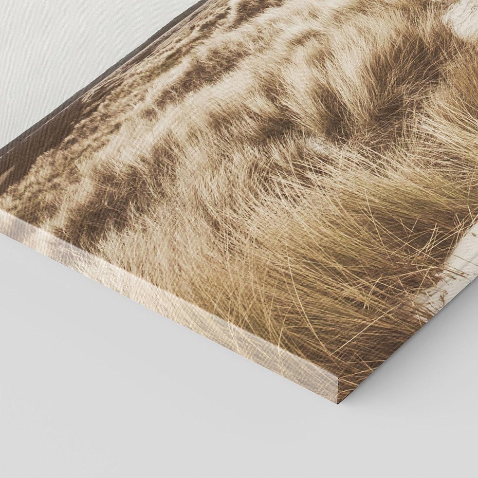 Obraz na płótnie 120x60 - Nadmorskie Wydmy - fotografia, kolory sepii