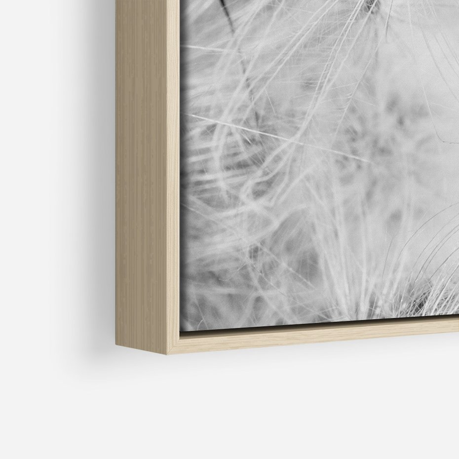 Obraz w ramie 50x70 - Zdmuchnięty Puch - dmuchawce, delikatne - rama drewno