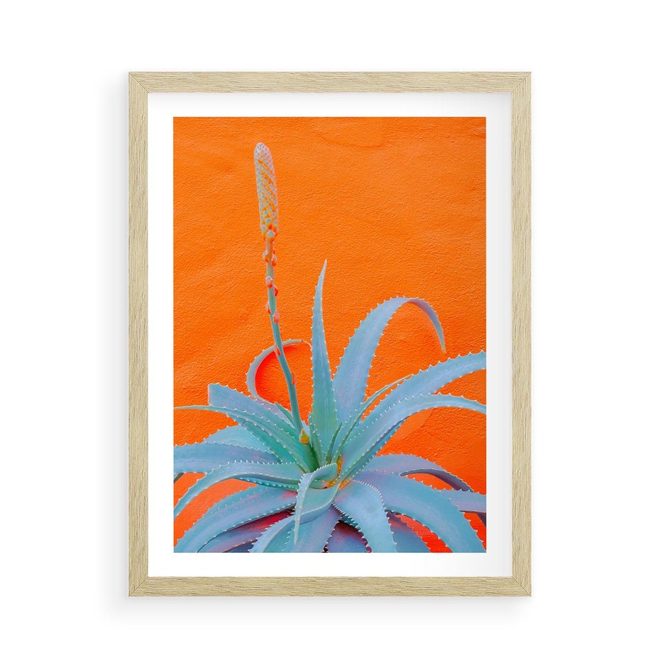 Plakat w ramie 50x70 - Naturalna Harmonia - kaktusy, liście - rama drewno