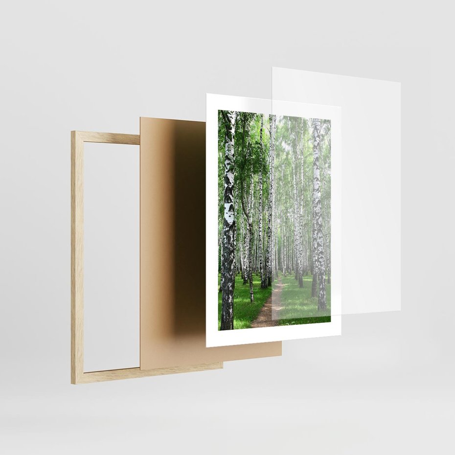 Plakat w ramie 30x40 - Magia lasu pełnego brzóz - las, brzozy - rama drewno