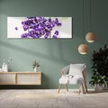 Obraz na płótnie 120x40 - Urok lawendowych kwiatów - lawenda, kwiaty