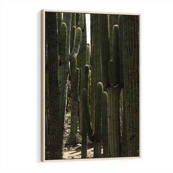 Obraz w ramie 70x100 - Wyjątkowy Klimat Boho - kaktusy, pustynia - rama drewno