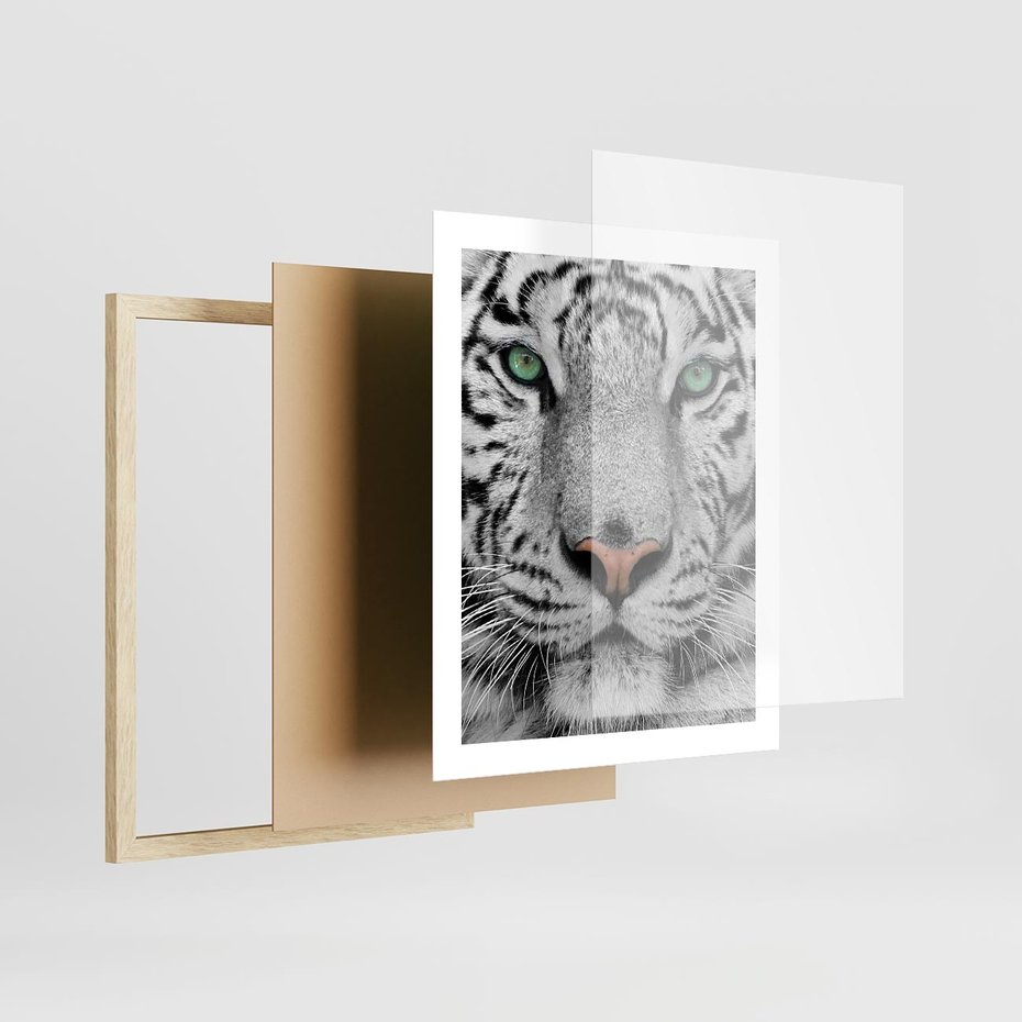 Plakat w ramie 40x50 - Magia Białego Tygrysa - biały, tygrys - rama drewno