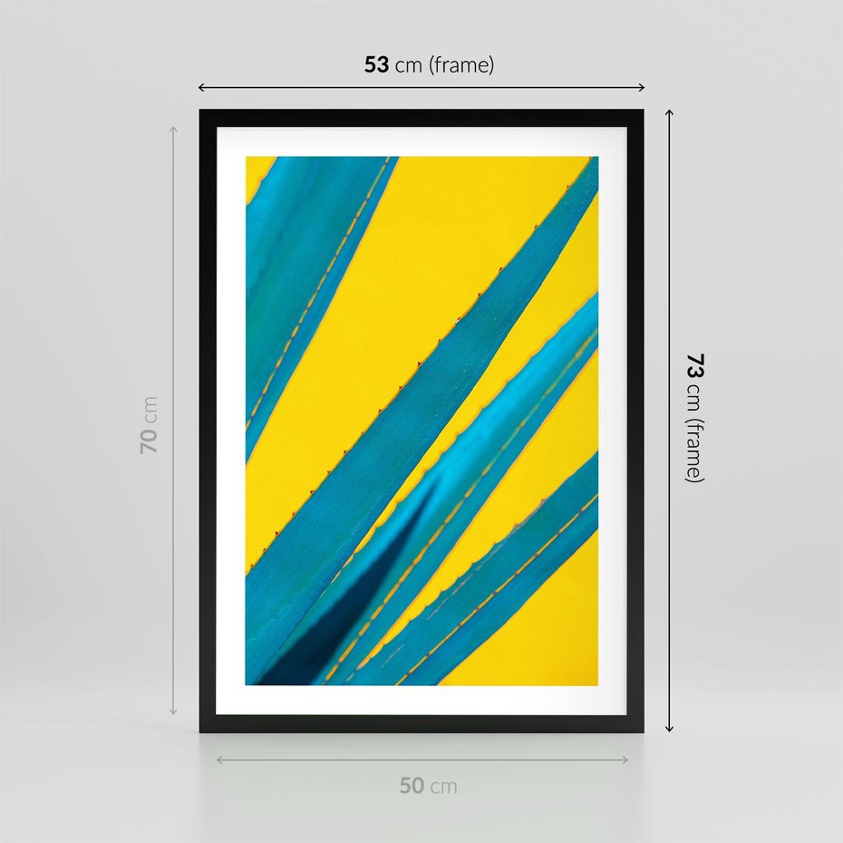 Plakat w ramie 50x70 - Świeżość Natury - aloes, liście - rama czarna