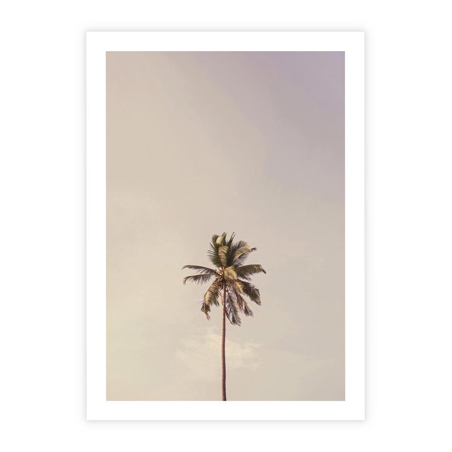 Plakat bez ramy 50x70 - Samotna Palma pod Niebem - samotna palma, na tle nieba