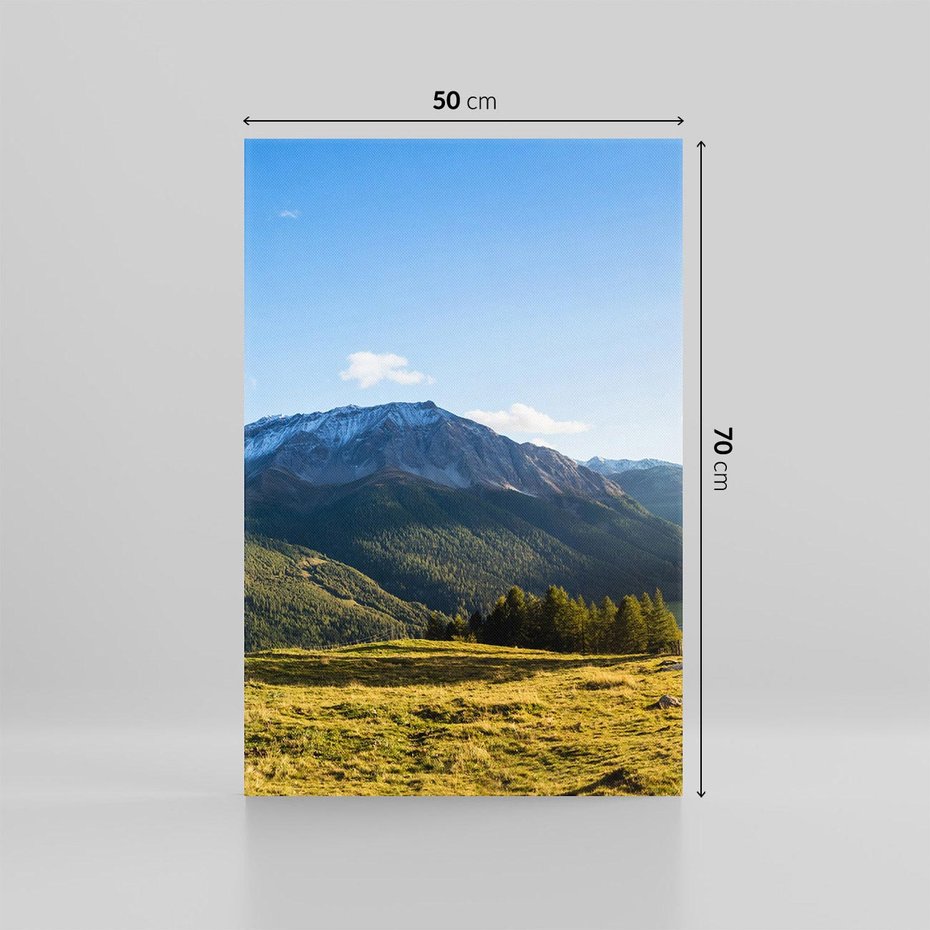 Obraz na płótnie 50x70 - Górski pejzaż: łąka i szczyty - góry, łąka