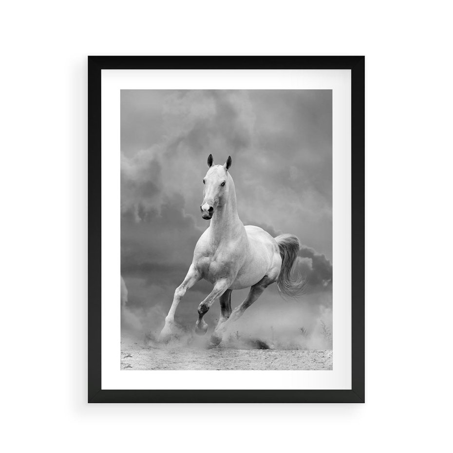 Plakat w ramie 40x50 - Elegancja w Czarno-Białym - koń, biało - rama czarna