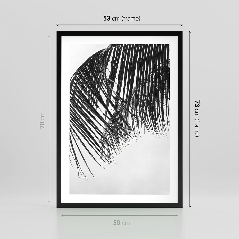 Plakat w ramie 50x70 - Czarno-Biały Kontrast - czarno białe zdjecie, palma - rama czarna