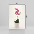 Obraz na płótnie 80x120 - Delikatność storczyka orchidei - storczyk, orchidea