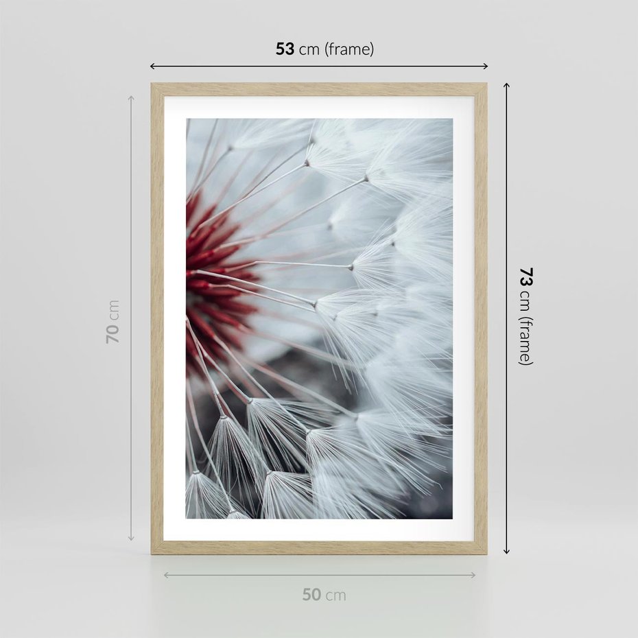 Plakat w ramie 50x70 - Makro świat dmuchawca - dmuchawiec, makro - rama drewno