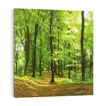 Obraz na płótnie 50x50 - Mistyka leśnych drzew - las, drzewa