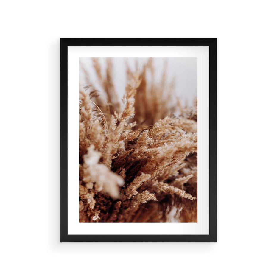 Plakat w ramie 30x40 - Sztuka Suszonych Traw - trawa pampas, suszone trawy - rama czarna