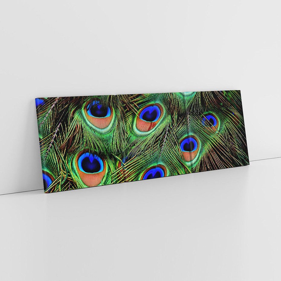 Obraz na płótnie 90x30 - Pawi Ogon - Piękno i Wspaniałość - paw, pióra