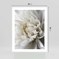 Plakat bez ramy 40x50 - Białe Kwiaty Delikatności - białe, kwiaty