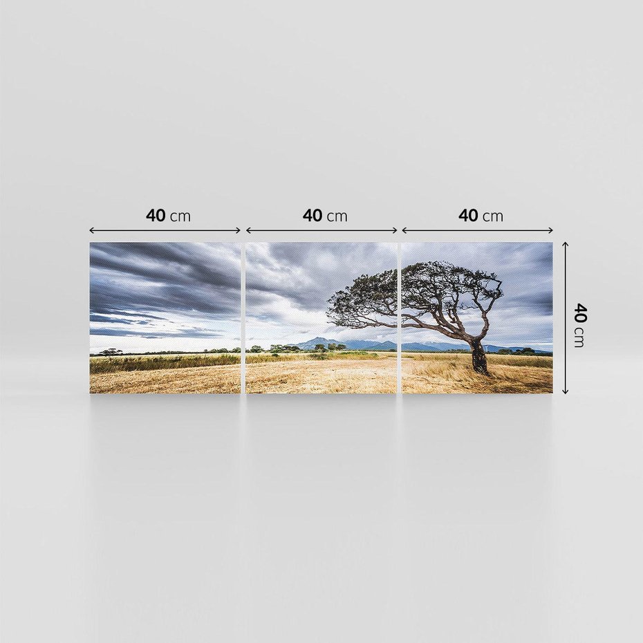 Obraz na płótnie 120x40 - Mistyka afrykańskiej sawanny - sawanna, drzewo