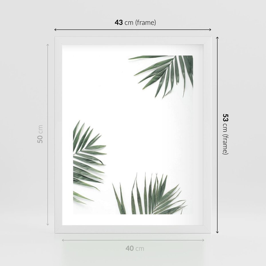 Plakat w ramie 40x50 - Liście Palmy na Czystym Tle - liście palmy, białe tło - rama biała