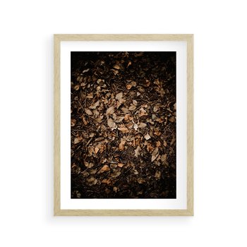 Plakat w ramie 30x40 - Brązowe Liście w Scenerii - suche liście jesień brąz - rama drewno