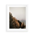 Plakat w ramie 40x50 - Kolorowa Jesień w Górskim Lesie - las, jesień - rama biała