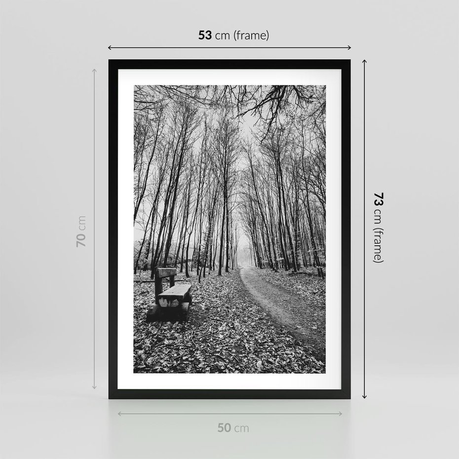 Plakat w ramie 50x70 - Spadające Liście - czarno białe zdjecie, park - rama czarna