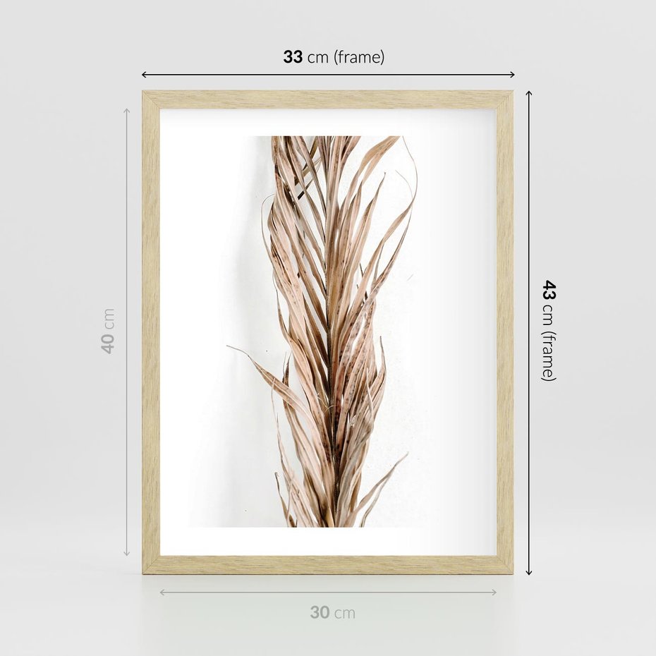 Plakat w ramie 30x40 - Minimalizm Palmowy: Sucha Uroda - sucha palma, minimalizm - rama drewno