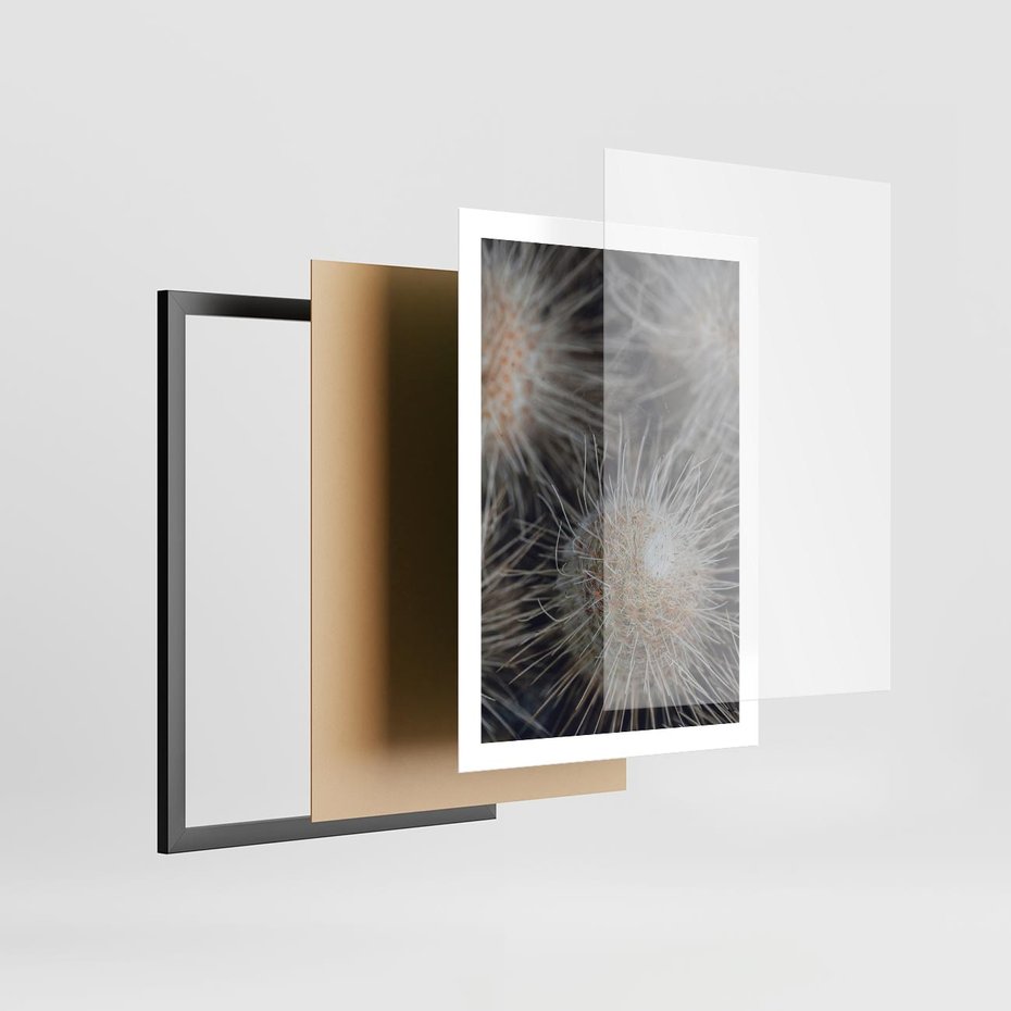 Plakat w ramie 50x70 - Ulotna Piękność Natury - makro, dmuchawce - rama czarna