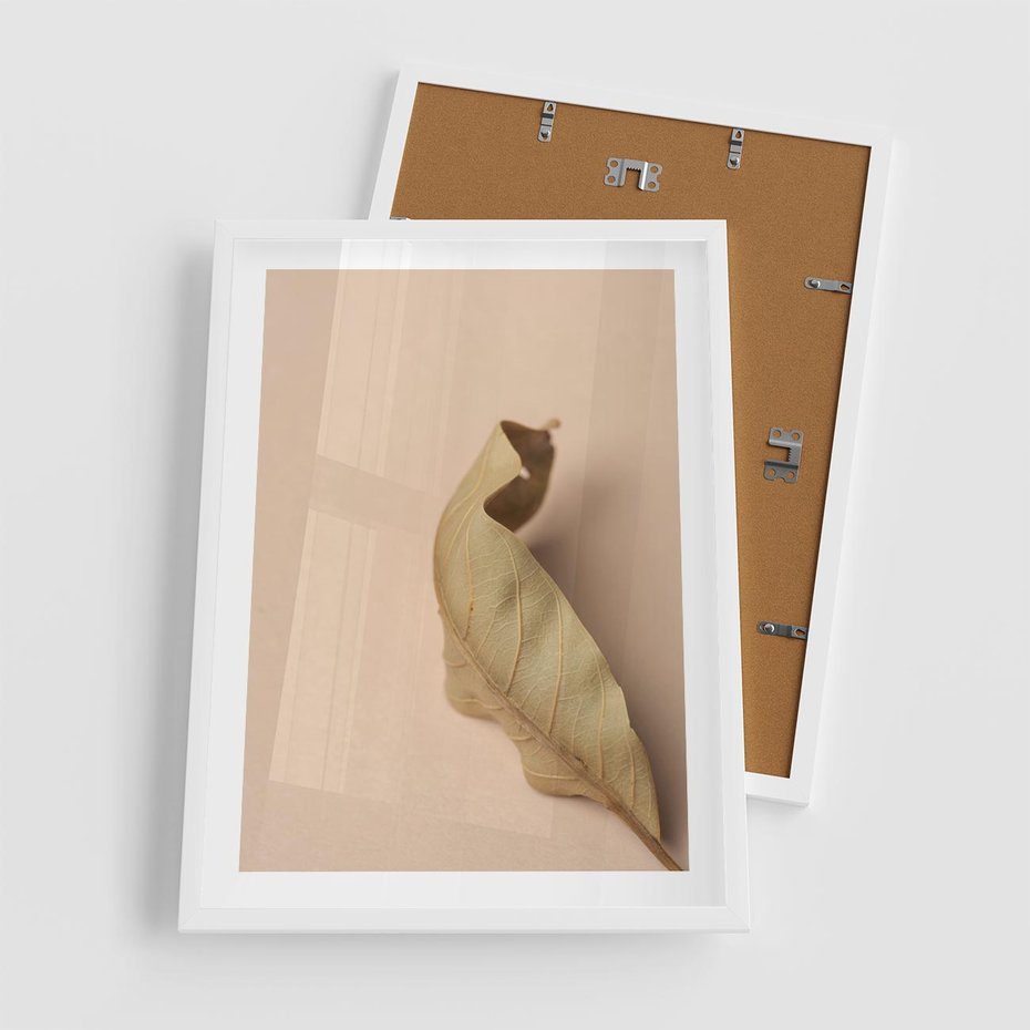 Plakat w ramie 50x70 - Boho suszone liście - suszony, liść - rama biała