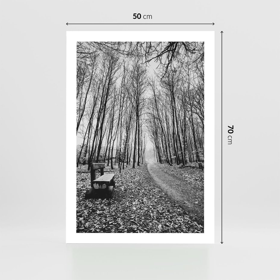 Plakat bez ramy 50x70 - Spadające Liście - czarno białe zdjecie, park