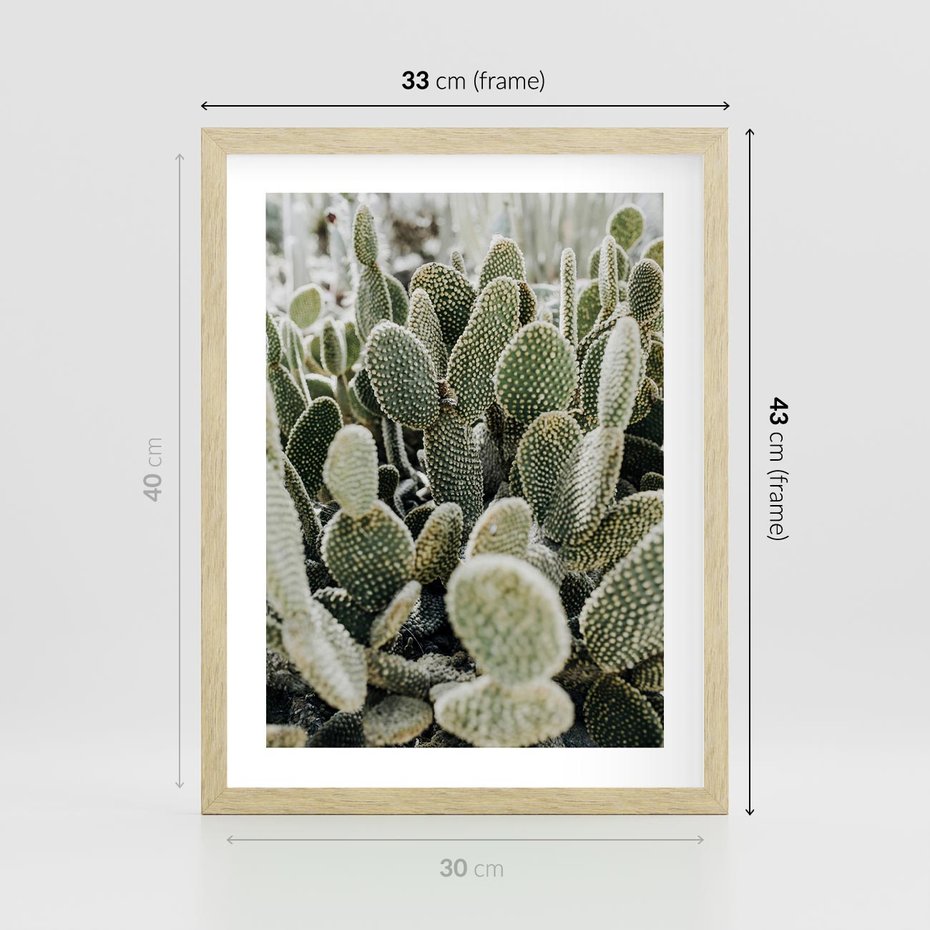 Plakat w ramie 30x40 - Kaktusowa Harmonia - kaktusy, fotografia - rama drewno