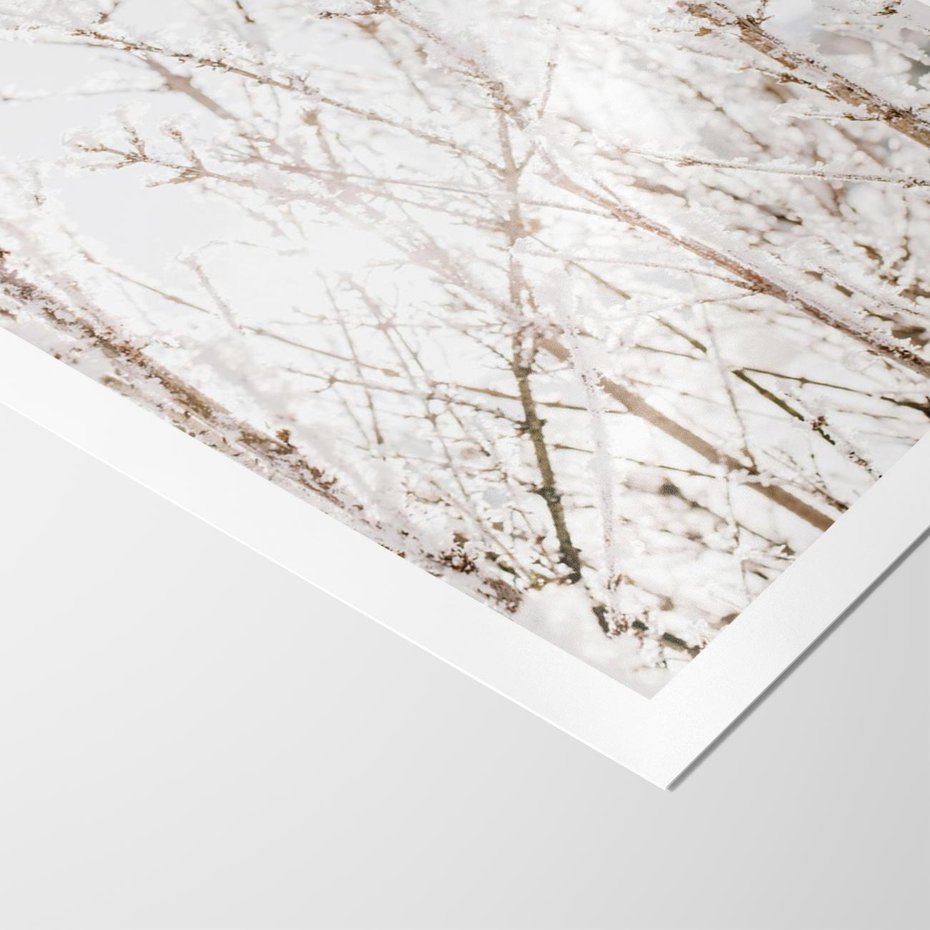 Plakat bez ramy 30x40 - Szron na Gałęziach - ośnieżone gałązki, szron na gałęziach