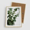 Plakat w ramie 50x70 - Zielone eukaliptusy - eukaliptus, liście - rama drewno