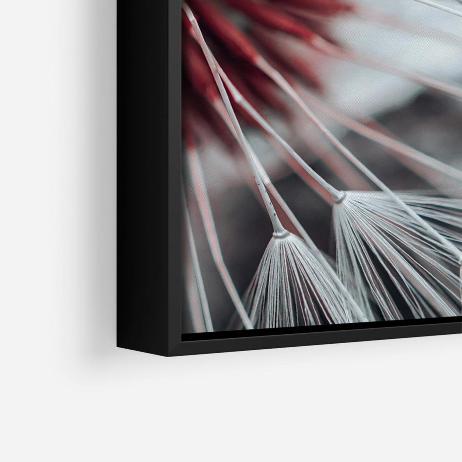 Obraz w ramie 50x50 - Makro świat dmuchawca - dmuchawiec, makro - rama czarna