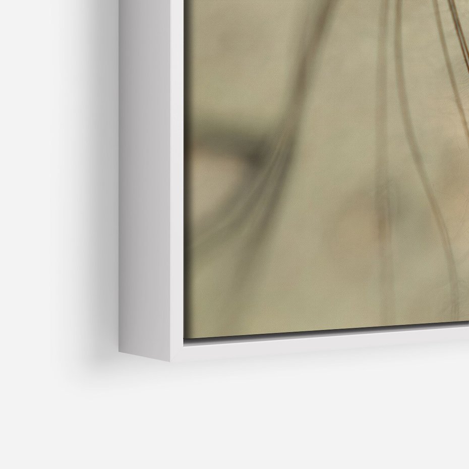 Obraz w ramie 70x100 - Delikatność dmuchawców - dmuchawce, krople - rama biała