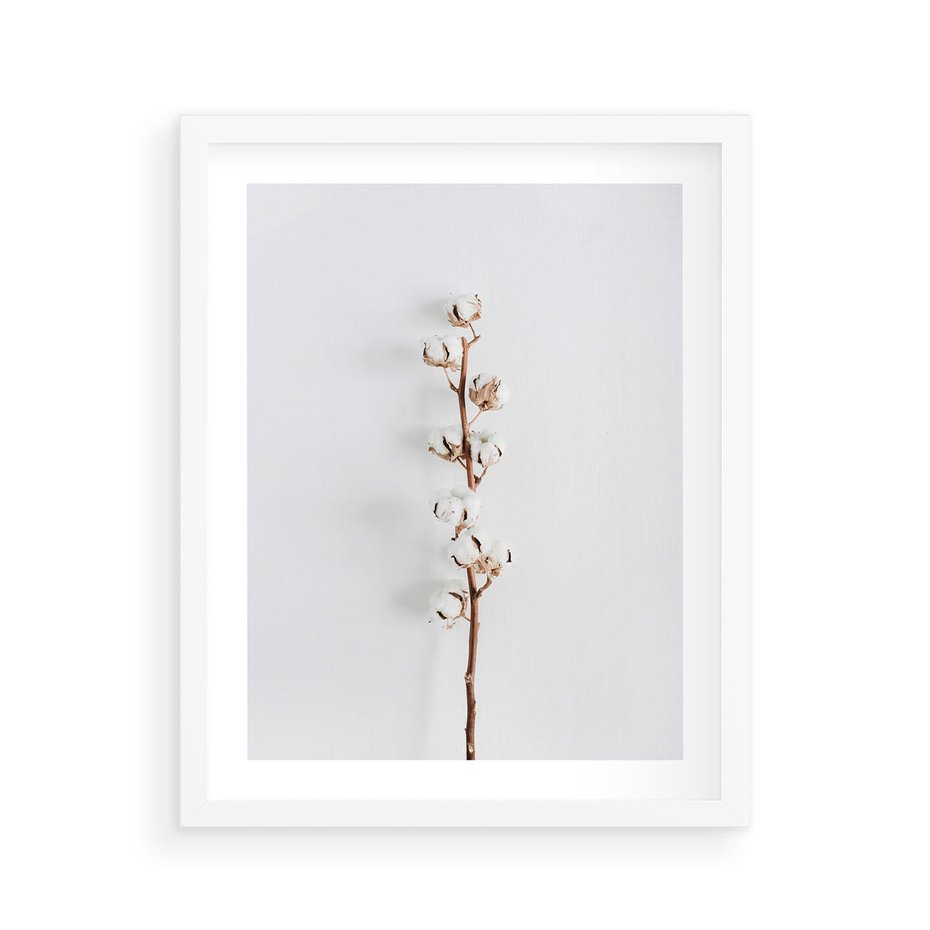 Plakat w ramie 40x50 - Minimalistyczna Gałązka Bawełny - bawełna, gałązka bawełny - rama biała