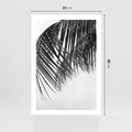 Plakat bez ramy 21x30 - Czarno-Biały Kontrast - czarno białe zdjecie, palma