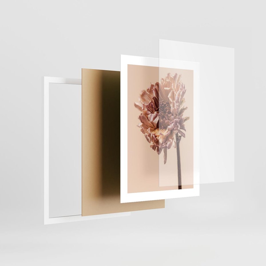 Plakat w ramie 30x40 - Delikatne piękno - suche, kwiaty - rama biała
